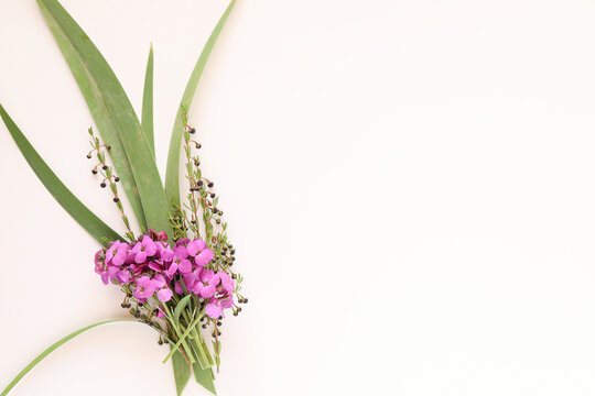 Top view of purple wallflowers and boronia stems on a white surface