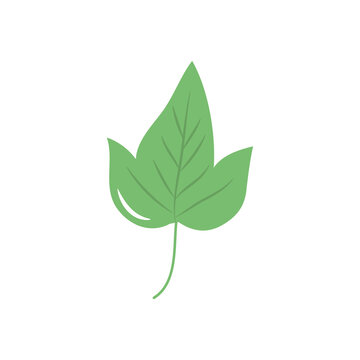 sycamore leaf icon, flat style