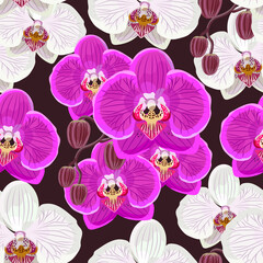 Seamless pattern with pink and white orchids on black background