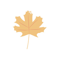 Obraz premium autumn leaves concept, maple leaf icon, flat style