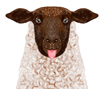 recommend clip art: illustration of a portrait of a funny sheep showing tongue. Playful funny animal. Texture drawing
