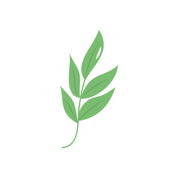 autumn ash leaf icon, flat style