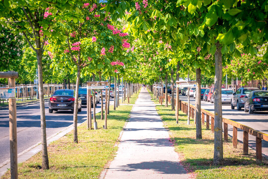 Budapest, Hungary - 01 MAY .2019: pedestrian alley on varosligeti fasor street