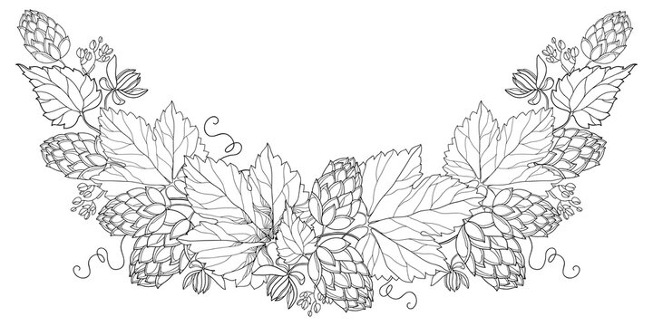 black and white hops leaves and cones clip art preview