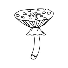 Single fly agaric, amanita icon . Hand drawn vector illustration in doodle style outline drawing isolated on white background.