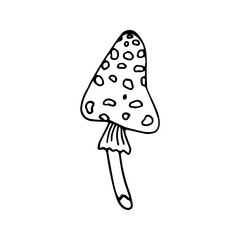 Single fly agaric, amanita icon . Hand drawn vector illustration in doodle style outline drawing isolated on white background.