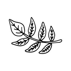 Cute leaf of tree design element. Сoncept nature. Hand drawn vector illustration in doodle style outline drawing isolated on white background.