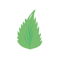 autumn leaves concept, birch leaf icon, flat style