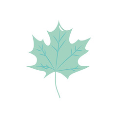 autumn leaves concept, leaf of maple, flat style