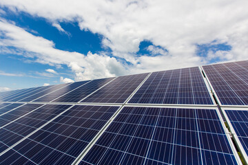 Obraz premium Field of solar panels for energy production, environmental energy on a green background