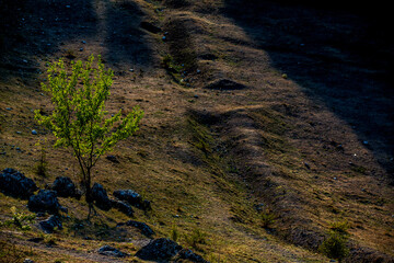 Beautiful landscape in village Rogojeni in Moldova, Europe. Autumn nature. The natural landscape of limestone rock, eroded by the river.