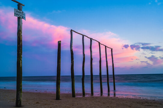 wooden poles on the beach at sunset glow