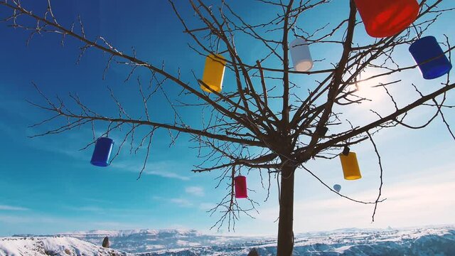 Camera flies around the tree with colored flashlights