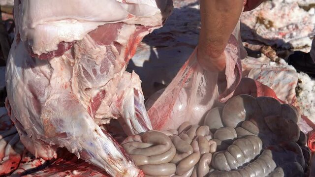 Traditional Eastern European cutting of pig carcasses