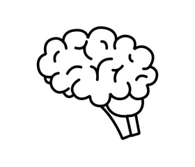 human brain flat icon, vector
