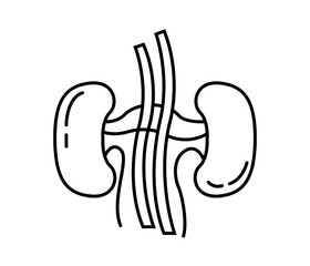 Kidneys icon. from health icon collection. Pixel perfect kidneys icon for use in web design, apps, software, print
