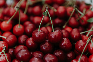 Close up of pile of ripe cherries with stalks and leaves. Large collection of fresh red cherries.