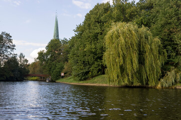 River landscape. River. Green trees.