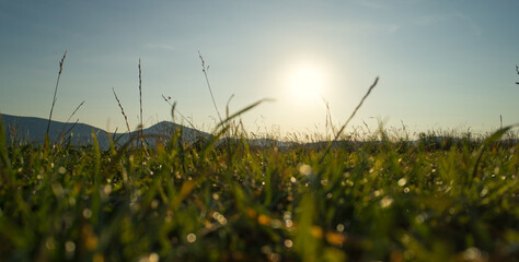 Sunrise mountain beautiful view. fog in the mountains