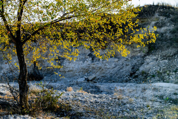 Beautiful landscape in village Rogojeni in Moldova, Europe. Autumn nature. The natural landscape of limestone rock, eroded by the river.