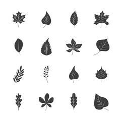 icon set of rowan leaf and autumn leaves, silhouette style