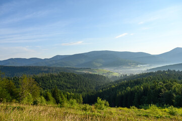 Carpathian mountains summer sunset landscape with sun and alpine pines