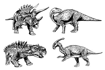 Set of dinosaurs on white background, vector hand-drawn illustration © Vita