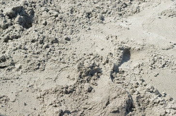 Sand texture