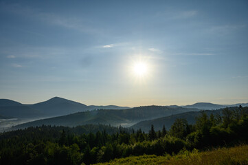 Carpathian mountains summer sunset landscape with sun and alpine pines