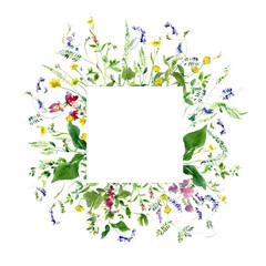 Summer Field Flowers and Sweet Peas Composition - Floral Watercolor Square Frame - Good for Invitation and Greeting card. 