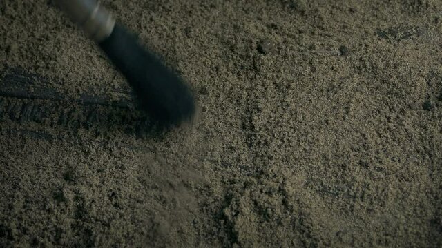 Sea Creature Fossil Mouth Being Excavated