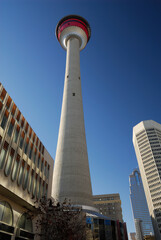 Downtown Calgary buildings and Tower on a clear day