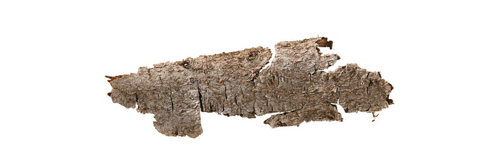 Piece of bark isolated on white