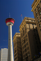 Old an new buildings with Calgary Tower against a blue sky