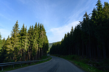 Obraz premium mountains landscape with sun and alpine pines. Sunrise