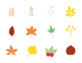 icon set of maple leaf and autumn leaves, flat style