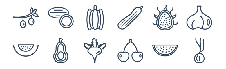 12 pack of icons. thin outline icons such as spring onion, cherry, avocado, pitaya, pumpkin, coconut for web and mobile apps, logo