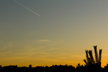 sunrise sky plane trail silhouette 