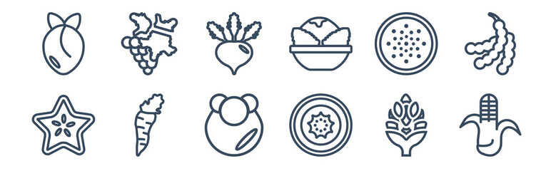 12 pack of icons. thin outline icons such as corn, kiwi, horseradish, passion fruit, beetroot, grape for web and mobile apps, logo