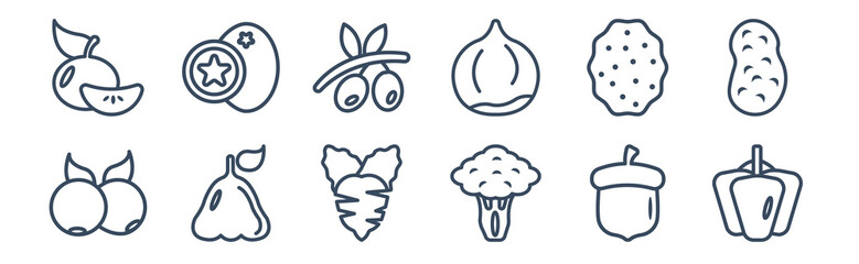 Fototapeta premium 12 pack of icons. thin outline icons such as bell pepper, broccoli, rose apple, lychee, olive, breast milk fruit for web and mobile apps, logo
