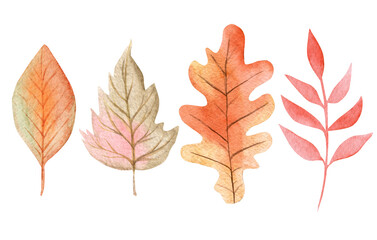 watercolor autumn leaves set isolated on white background for cards, invitations decor
