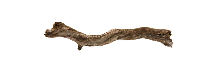 Fototapeta premium Piece of twig isolated on white