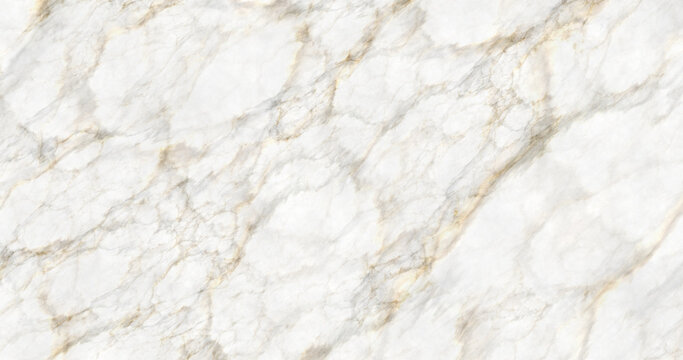 elegant Calacatta white marble background