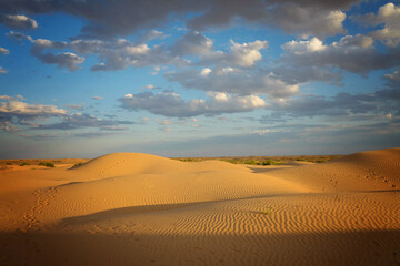 yellow sand on a dune with small vegetation and in the sun
