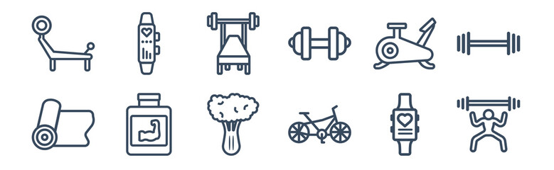 12 pack of icons. thin outline icons such as lifting barbell, riding bicycle, phytonutrients, exercise bike, barbell bench press, sport watch for web and mobile apps, logo