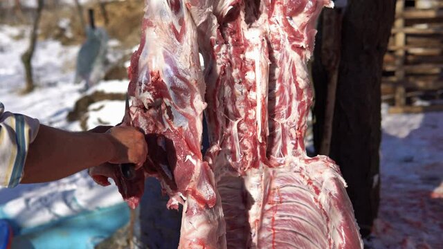 Pig slaughter in contryside chopping meat, butcher