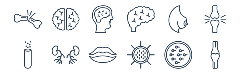 12 pack of icons. thin outline icons such as ball of the knee, big cellule, blood supply system, bosom, brain inside human head, brain upper view for web and mobile apps, logo