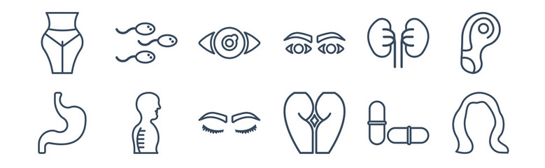 12 pack of icons. thin outline icons such as brunette female woman long hair, cellulite, column inside a male human body in side view, excretory system, eye variant with enlarged pupil, sperms for