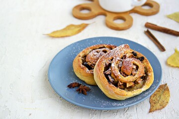 Twisted yeast buns with apples, raisins and cinnamon on a gray plate on a light concrete background. Harvest apples.