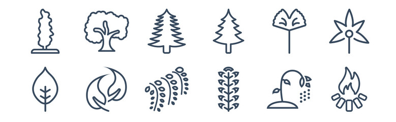 Fototapeta na wymiar 12 pack of icons. thin outline icons such as camping bonfire, american mountain ash, falcate, ginkgo, white spruce tree, sycamore tree for web and mobile apps, logo